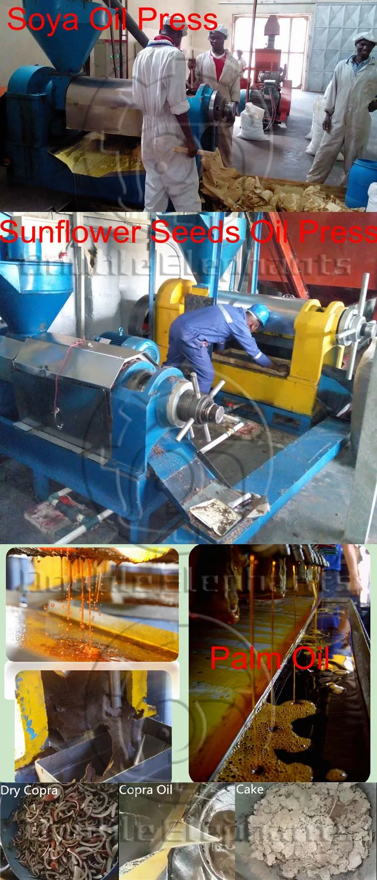 6yl-100 Oil Expeller, Soybean Oil Press Machine, Sunflower Oil Press Machine, Screw Oil Press Machine
