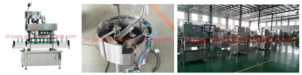 High Speed Automatic Filling Machine for Bleach Bottle Liquid Filling Packing Line Sanitizer Filling Line