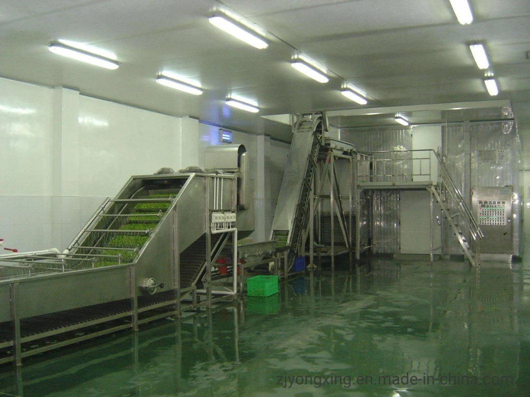 Industrial IQF Fludization Tunnel Bed Quick Freezer/IQF Tunnel Freezer/Blast Tunnel Freezer for Vegetables and Fruits with High Efficiency