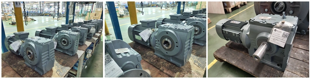 S Series Helical Geared Reducer Manufacturer