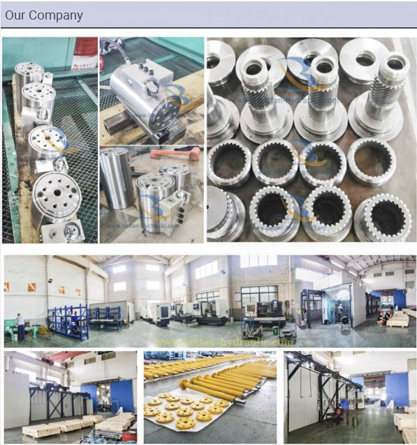 Helical Industrial Hydraulic Rotary Actuator Cylinder Manufacturer