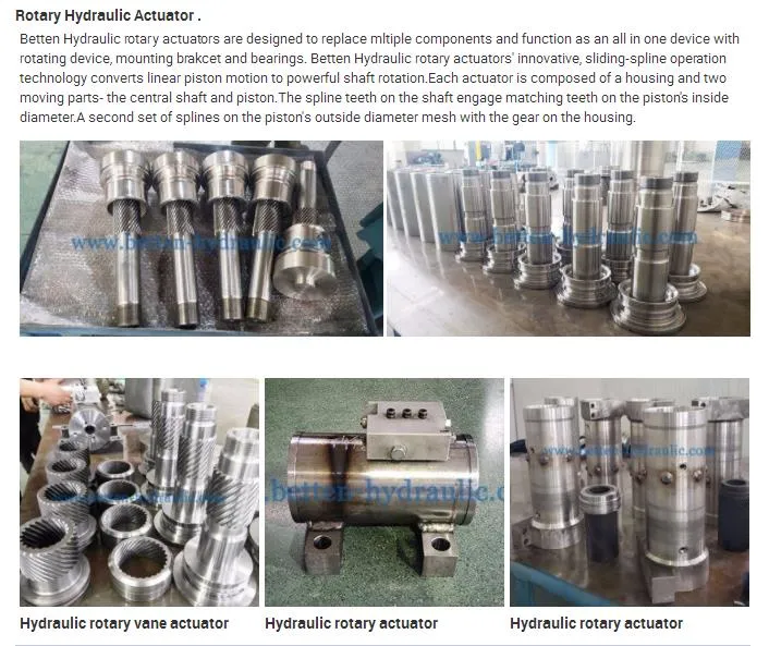Helical Industrial Hydraulic Rotary Actuator Cylinder Manufacturer