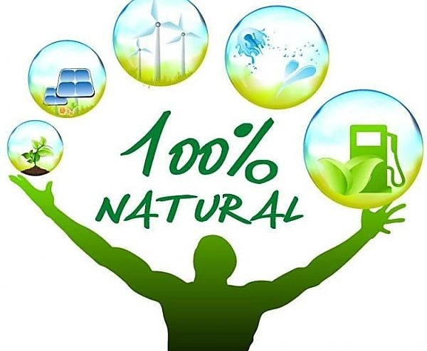 Environmental Protection and Energy Saving Psa Nitrogen Generator for New Energy