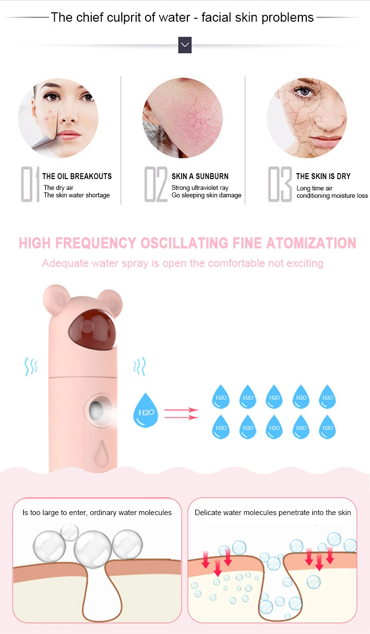 Pink Bear Rabbit Portable Nano Clean Care Skin Spray Aroma Diffuser Facial Hydrating Spray Steamer