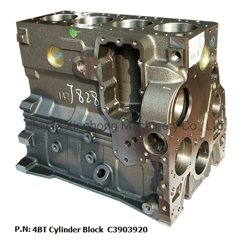 OEM Cylinder Block 3903920/4991507 for Dongfeng Dcec 4bt 3.9