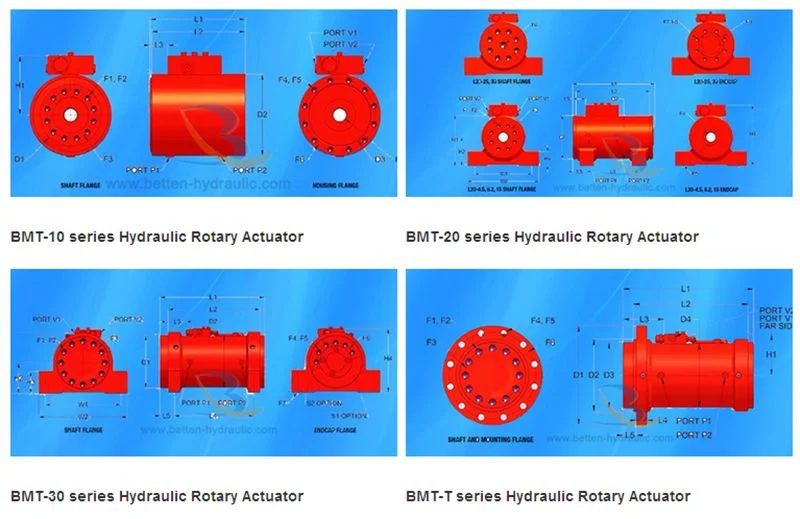 Custom Stainless Steel Rotary Actuator Hydraulic Cylinder Supplier