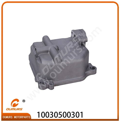 Motorcycle Cylinder Head Cover Motorcycle Spare Part for Symphony St