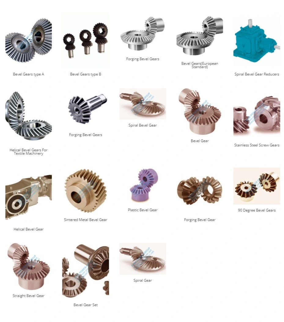 Precision Differential Manufacturers Bevel Spur Helical Straight Forging Dive Stainless Steel Aluminum-Bronze Worm Twin Screw Gears