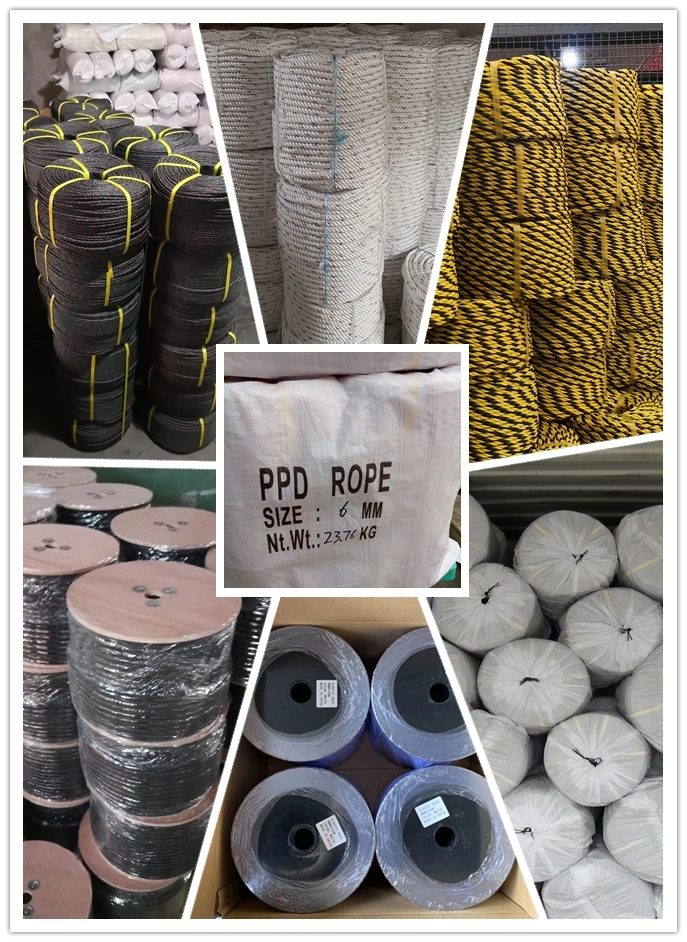 Factory Price Stainless/Galvanized Marine/Cargo/Packing/Lifting/Twist/Twisted Mooring/Wire Rope DIN6899b Thimble