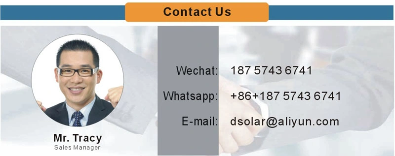Dsola Online Auction Nickel Copper Cable Silicon Wafer for Solar Cell