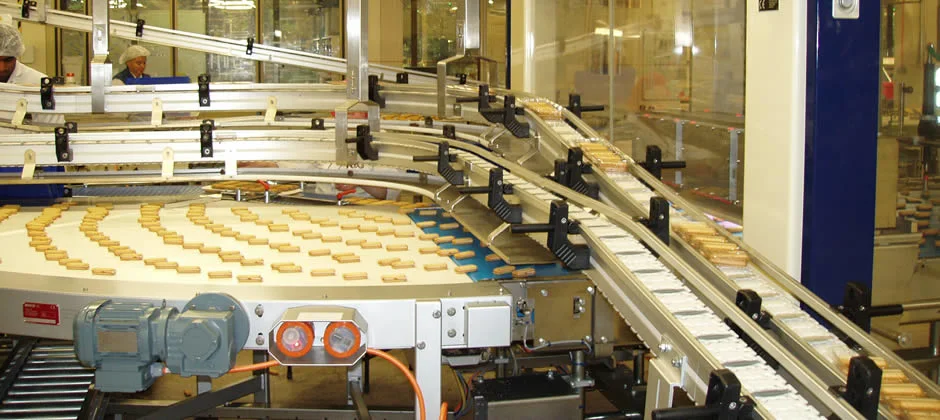 Modular Plastic Flexible Chain Conveyor Warehouse Handling Assembly Line