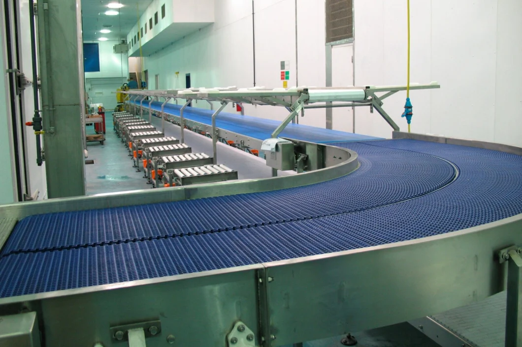 Modular Plastic Flexible Chain Conveyor Warehouse Handling Assembly Line