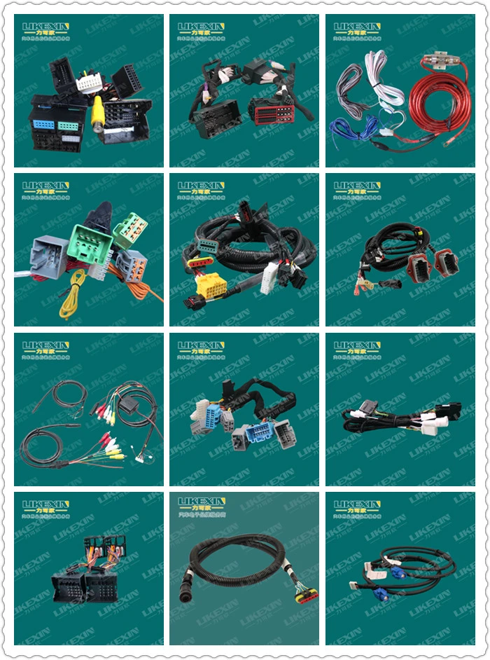 Wire Harness Manufacturer of The New Energy Electric Wire Cable