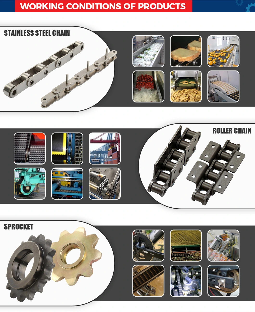 Professional Rubber Glove Chain China Manufacture (Single Form & Double Form) with Long Life & Energy Saving