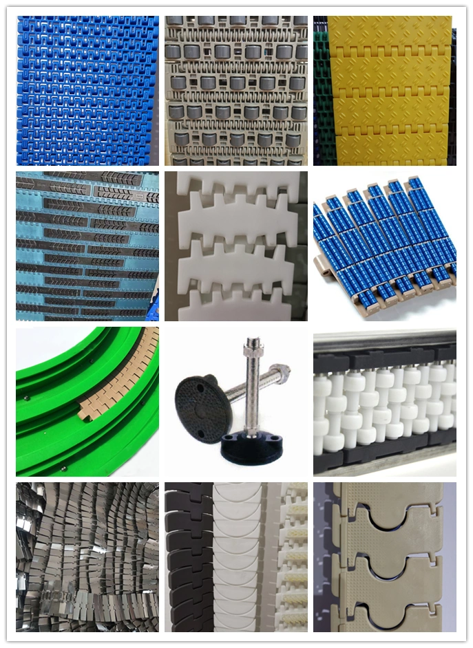 Customized Multi-Purpose Plastic Table/Flat Top Chain Conveyor Food Standard Chain Conveyor