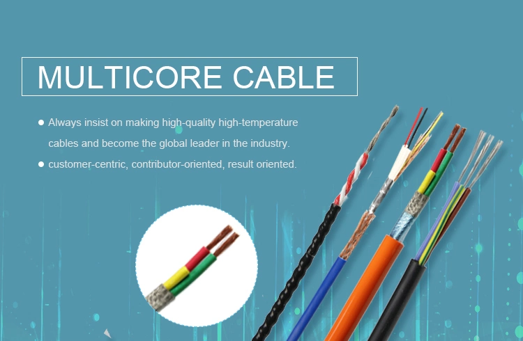 450/750V Muticore Flexible Elevator Control Cable Automotive Cable