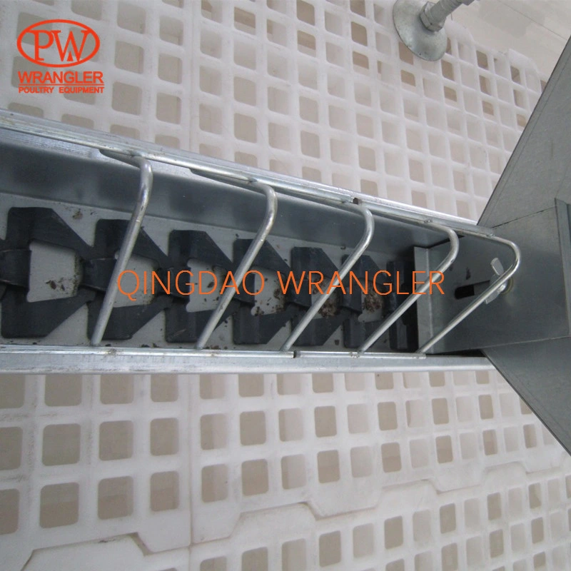 Poultry Breeder House Equipment Open Trough Chain Feeding Line System