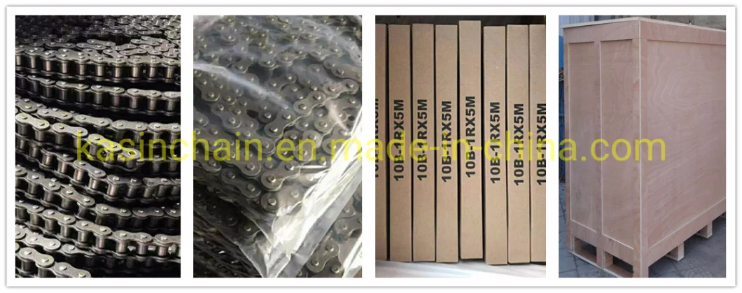 Stainless Steel Roller Chain Transmission Chain Conveyor Chain 100ss