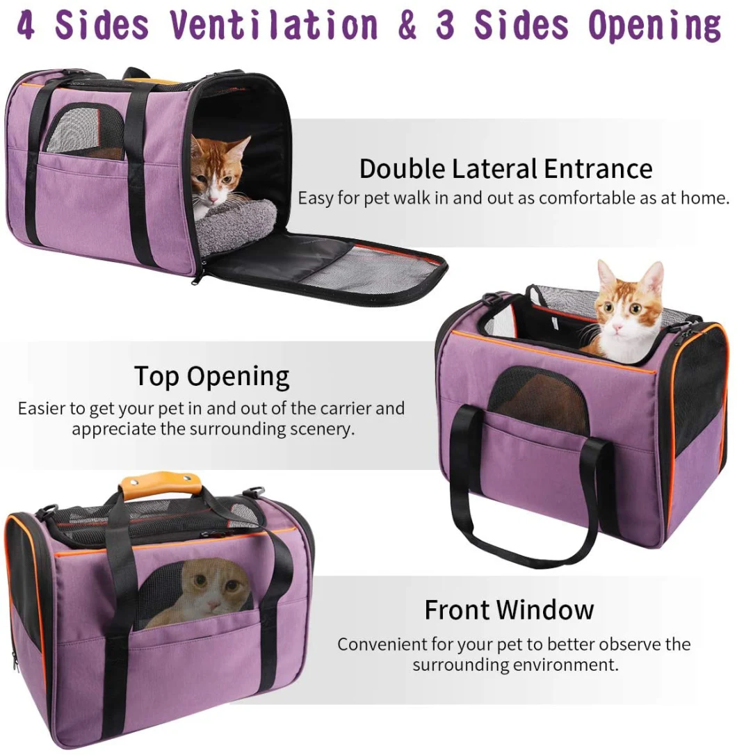 Amazon Hot Sale Pet Carrier Airline Approved Small Dog Carrier Soft Sided Collapsible Portable Travel Dog