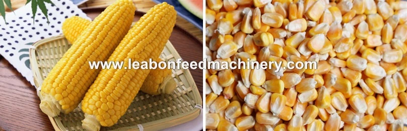 Corn Grits Making Machine/Grain Corn Crusher/Maize Grinding Mill