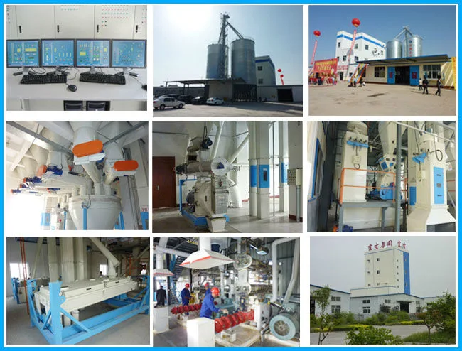 Cereal Crushing Chicken Feed Hammer Mill