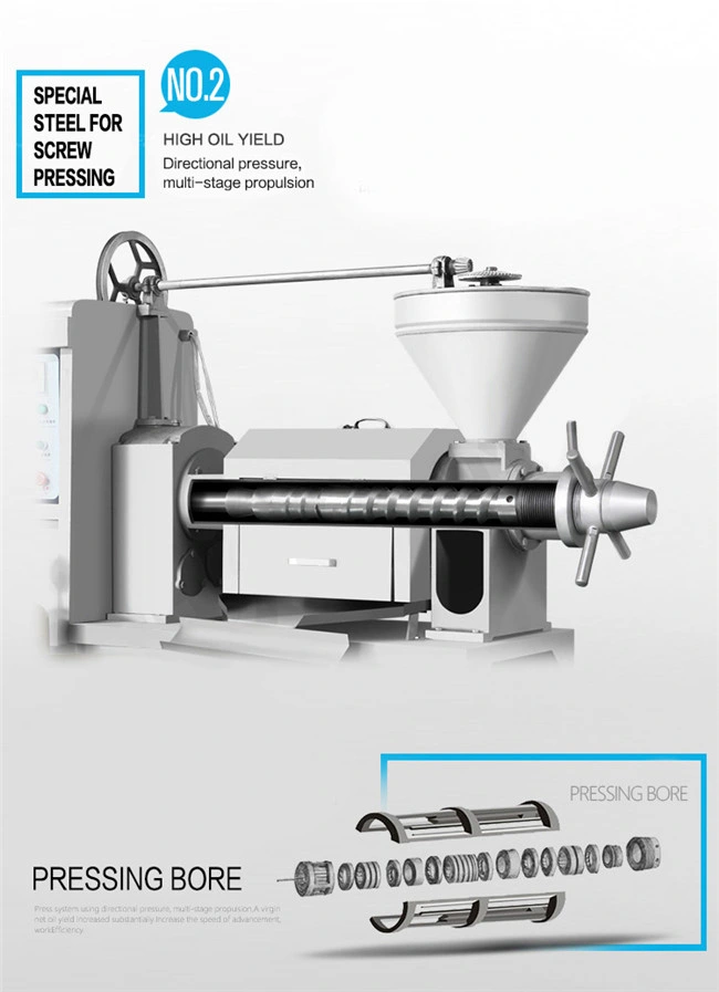 Automatic Efficiently 6yl-100A Flax Seed Corn Germ Rice Bran Screw Oil Press Machine
