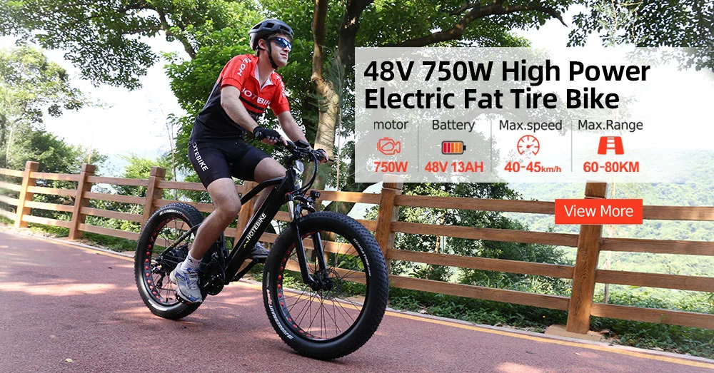 26 Inch Aluminum Frame Electric Assist Mountain Bike with Rear Shocks