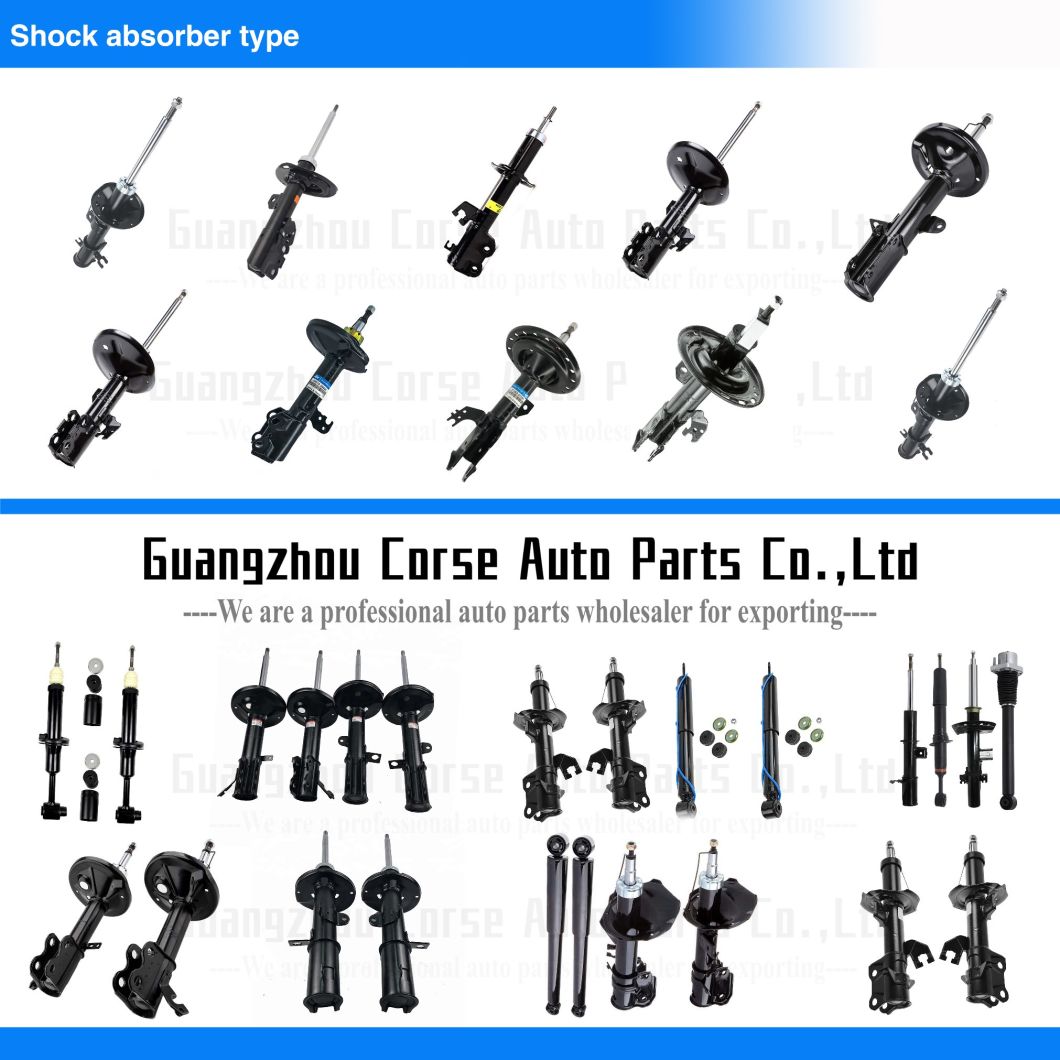 Car Suspension Rear Axle Shock Absorber for Nissan Sentra 2007-2008 for 34165