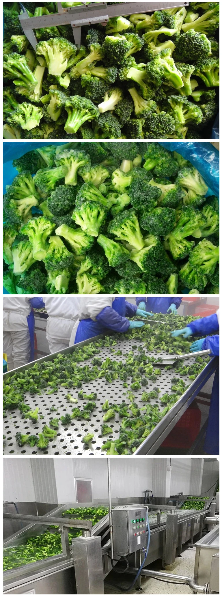 Frozen Broccoli Frozen High Quality Cheap Custom Quick Delivery Best Price Frozen Broccoli