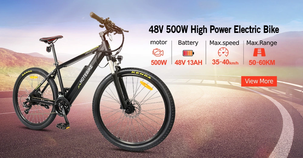 26 Inch Aluminum Frame Electric Assist Mountain Bike with Rear Shocks