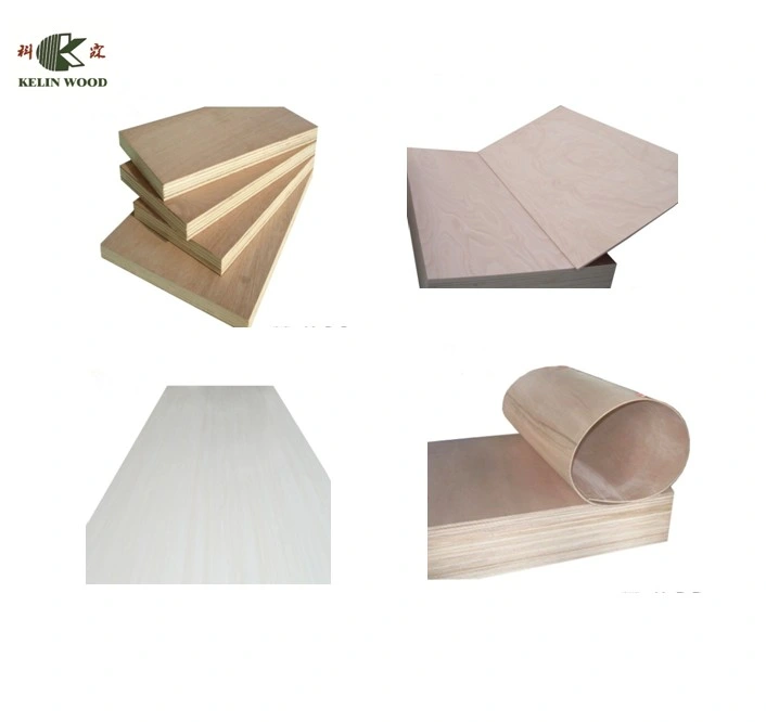Fire Rate Resistance HPL Plywood Panel with Cheap Factory Price
