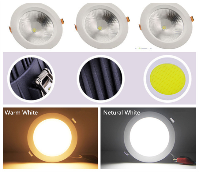 Commercial Lighting Ceiling Lamp 10W COB LED Downlight Ceiling Fixtures