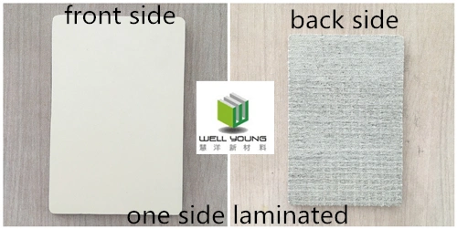 Fire Rated HPL Laminated MGO Decorative Wall Panel