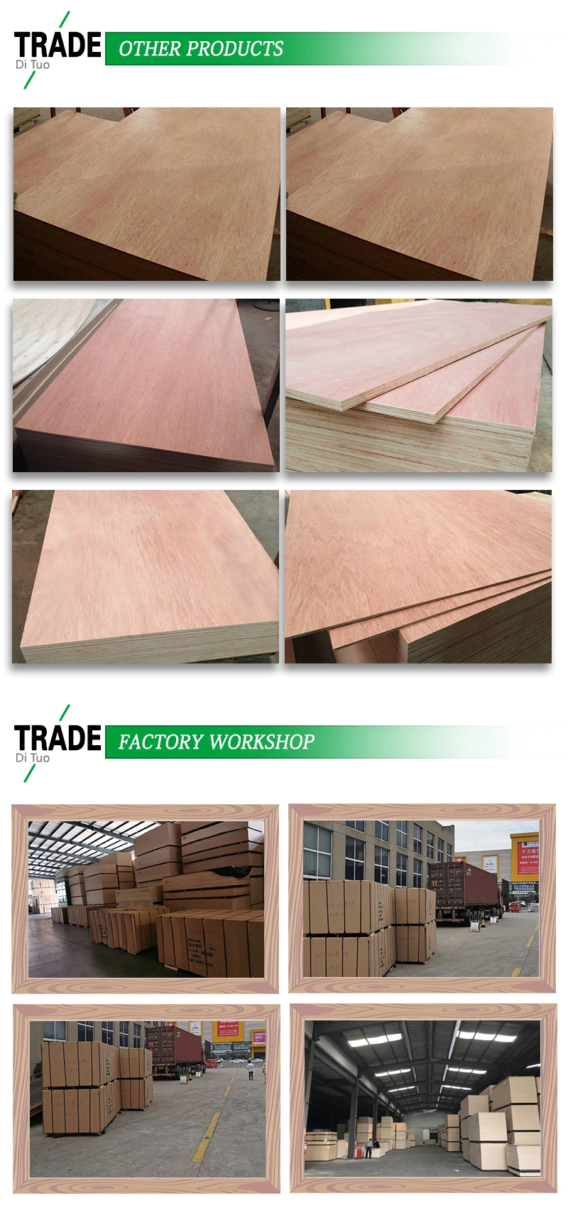 High Quality Rated Paneling Bintango Plywood for Furniture