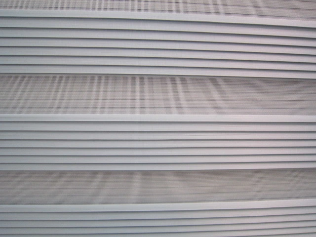 Sheer Elegance Pleated Blinds/Pleated Shade Fabric for Home/Hotel Decoration