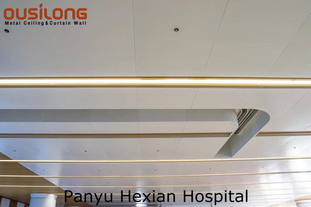 Noiseless Aluminium Conceal Fireproof Ceiling Suspended Hook on Panels Wholesale Price
