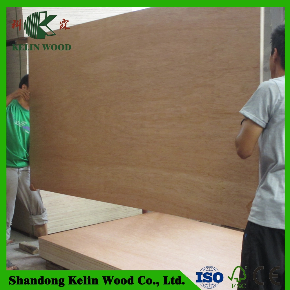 Fire Rate Resistance HPL Plywood Panel with Cheap Factory Price