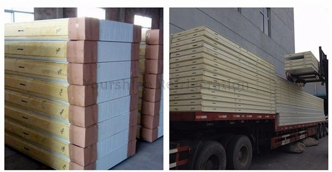 Heat Insulation and Fireproof Cold Room Pur Insulated Sandwich Panels