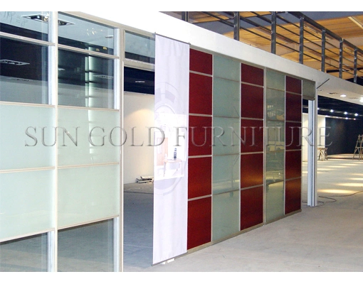 Modern Office Exterior Aluminum Wall Panel Partition Interior Door (SZ-WST781)