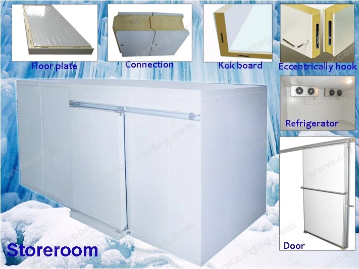Professional Cold Room panel Cold Storage Walk-in Freezer Cooling Room