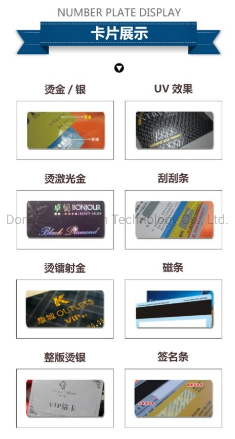 Plastic ID Card IC Card VIP Card Customized Printed with Own Logo PVC Card