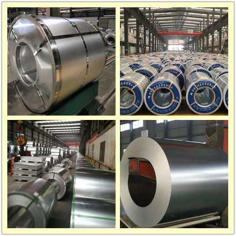 Roofing Sheet Steel L Galvanized Steel Coil Gi Coil Hot Dipped Steel Coil
