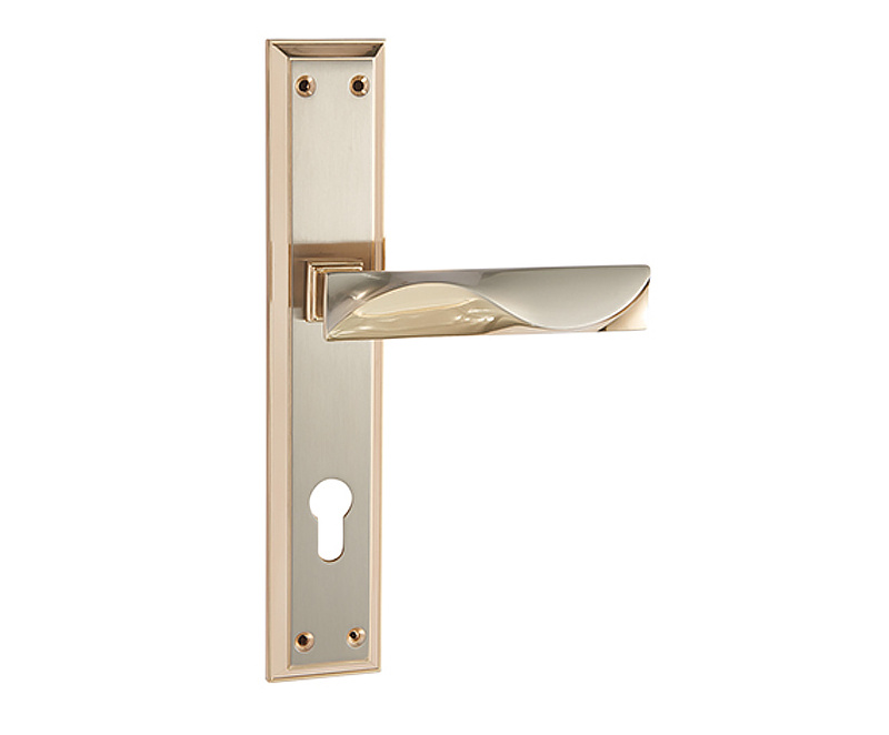 Door Hardware Zinc Alloy Aluminum Door Handle with Steel Zinc Alloy Plate (HP-S8530)