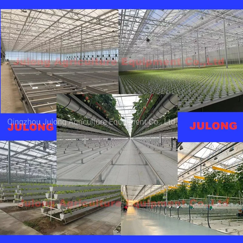 Low Cost 8mm PC Sheet Material Garden Greenhouse with Tomato and Lettuce Hydroponic System