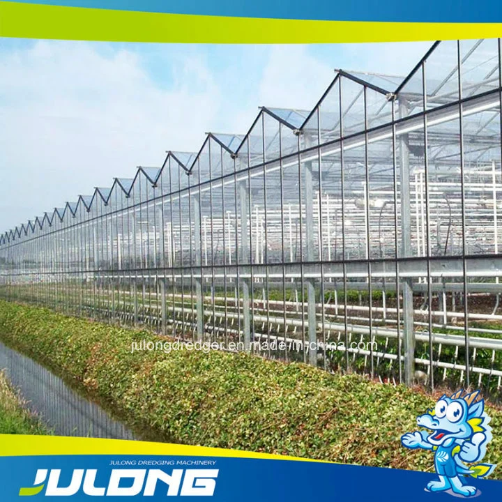 Low Cost Hydroponic Polycarbonate Sheet Greenhouse for Tomato Growing