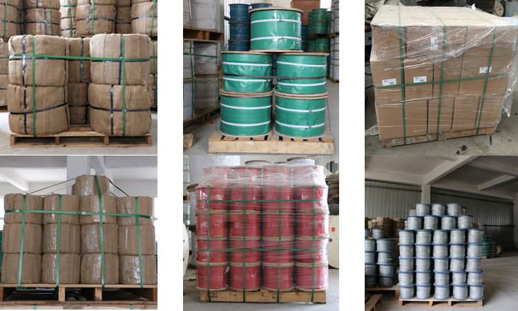 Qili Galvanized Steel Wire Rope for Hoist and Winch