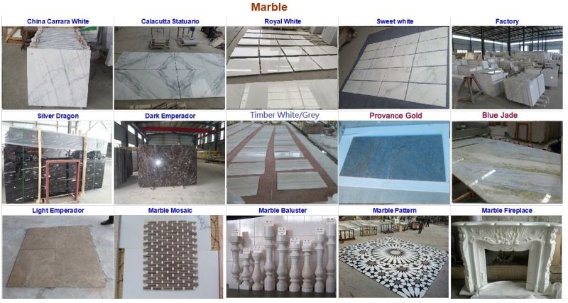 Different White Marble Polished/Honed Slab for Flooring Tile/Paving Tile/Bathroom