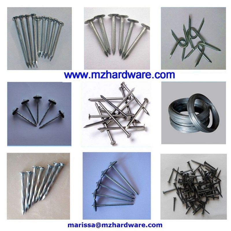 Polished Common Round Wire Nail with Checkred Head Diamond Point