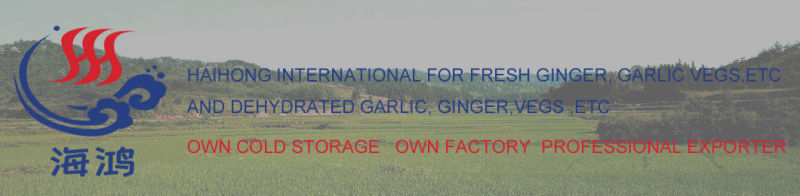 Dry Fresh Ginger Organic, Dried Ginger