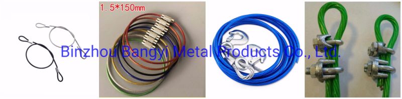 Wire Rope Coated with Plastic, PVC Coated Steel Wire Rope